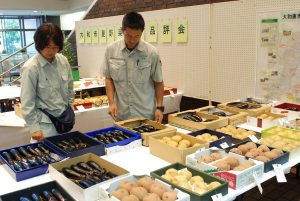野菜の大きさや形、つやなどを審査する職員