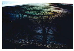 さがみはら写真賞に選ばれた志賀さんの作品