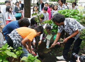 植樹を行う児童ら＝相模原市立中央小学校