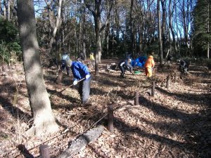 落ち葉かきをする協議会メンバーら＝南区大沼