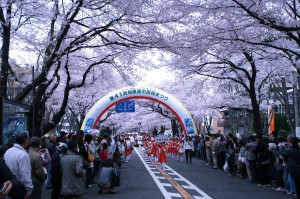 多くの団体が参加したパレード