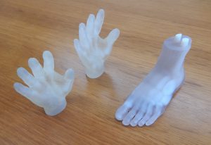 ３Ｄプリンターを使って製作した人体パーツ