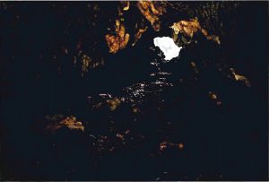 グランプリを受賞した「ＧＡＭＡ　ＣＡＶＥＳ（ガマ・ケイブス）」