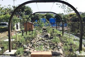 都市部で自然な水野循環を生み出すビオトープ