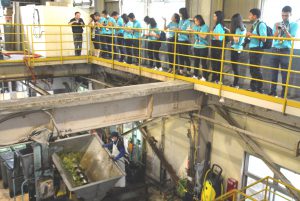 食品残さを飼料化する工程を見学