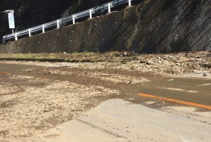 新斎場の整備が計画されている「帝京大青山グラウンド」近くの県道